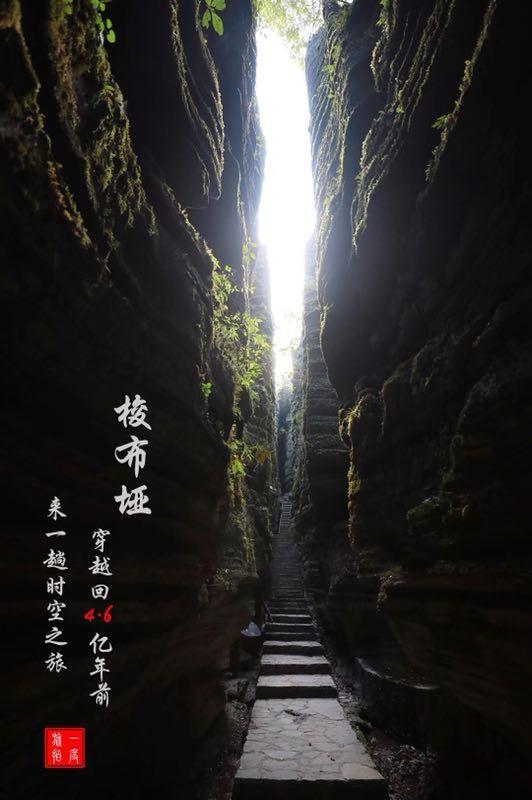 我是孙二谋